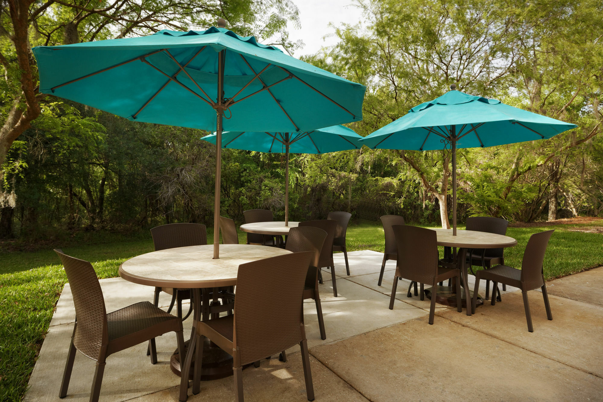 Mainstay Suites Tampa Moffitt-Usf Temple Terrace Exterior photo